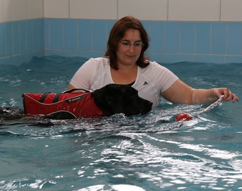 Geschwommen wird in einem beheizten Pool, bei einer Wassertemperatur zwischen 26 und 28 Grad, das ganze Jahr über.

Der Hund trägt für das Schwimmen eine Schwimmweste für eine bessere Lage im Wasser.

Der Körper des Hundes ist im Wasser praktisch schwerelos. (Das Eigengewicht verringert sich um bis zu 90 %). Der Auftrieb im Pool bewirkt vor allem eine mechanische Entlastung der Extremitäten. Bälle oder andere Spielzeuge werden zur Motivation genutzt-greyscale.